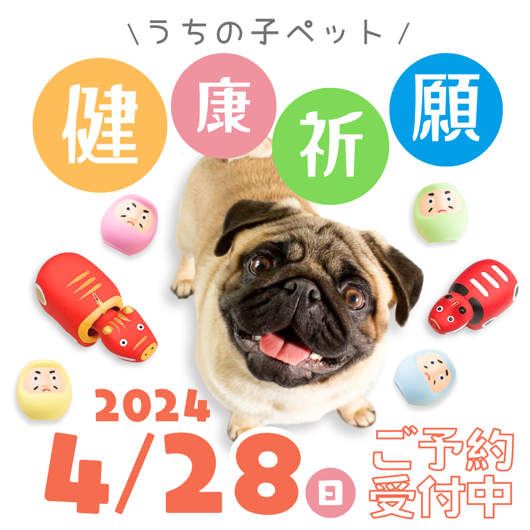 適切な価格 うちの子HOUSEのペットメモリアル 犬用品