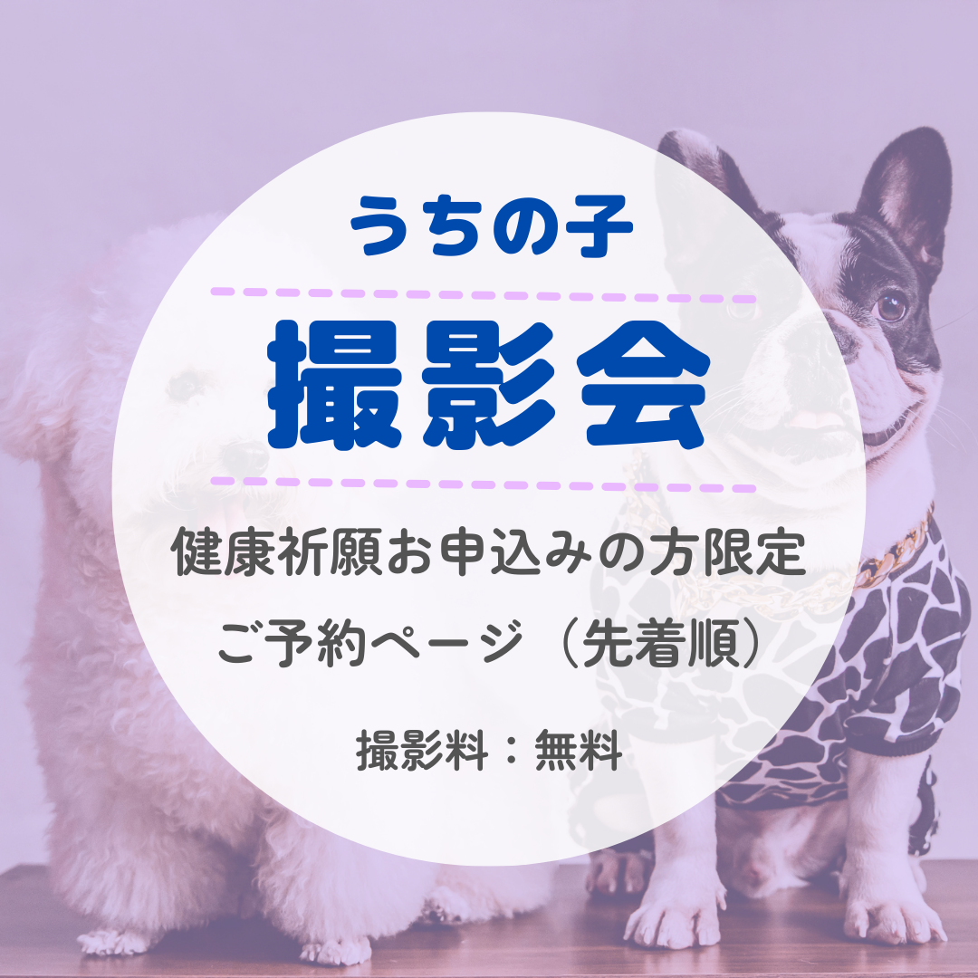 うちの子ペット撮影会 予約専用ページ／ペットメモリアルショップ – ペット供養とペットのメモリアルグッズ専門店