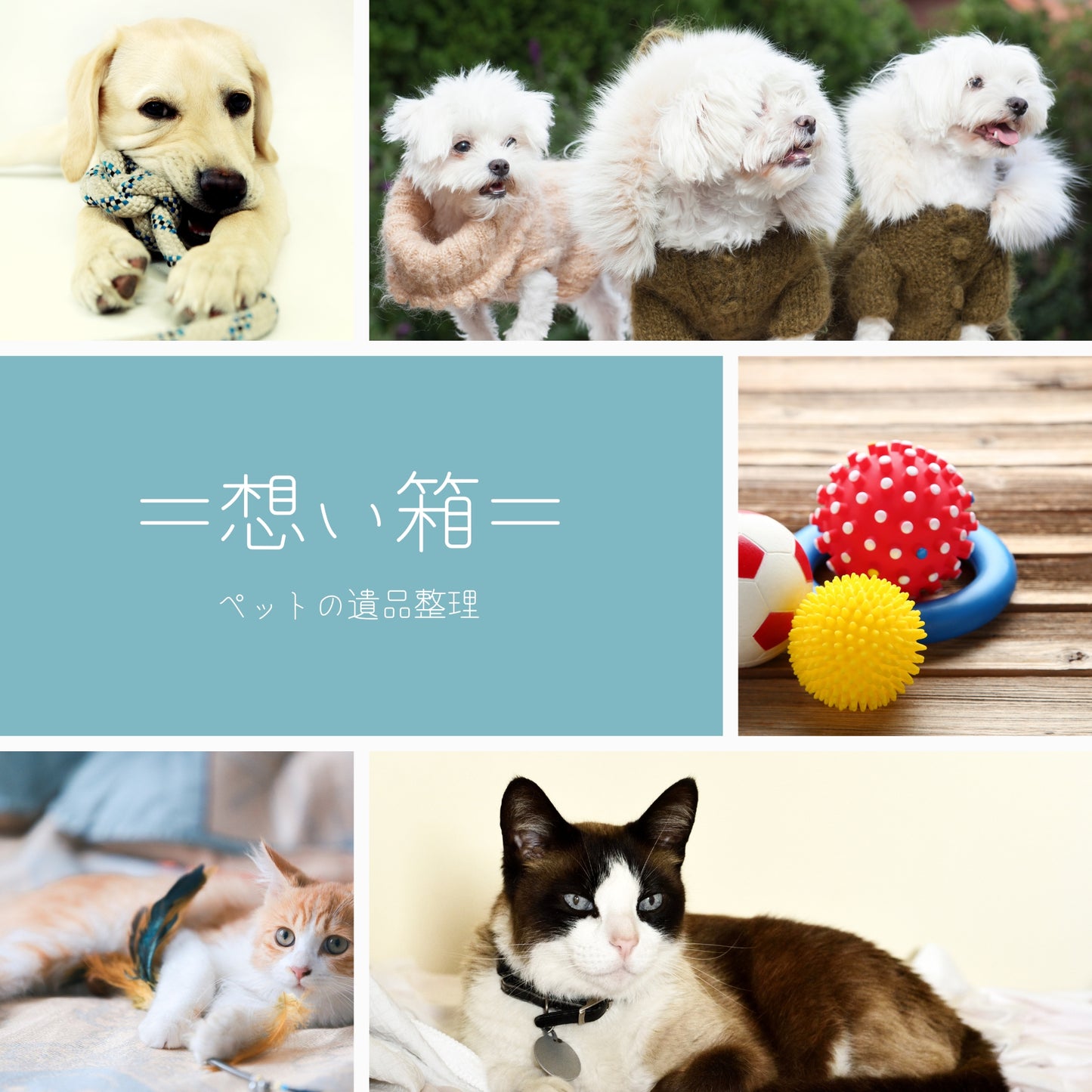 「想い箱」ペットの遺品供養