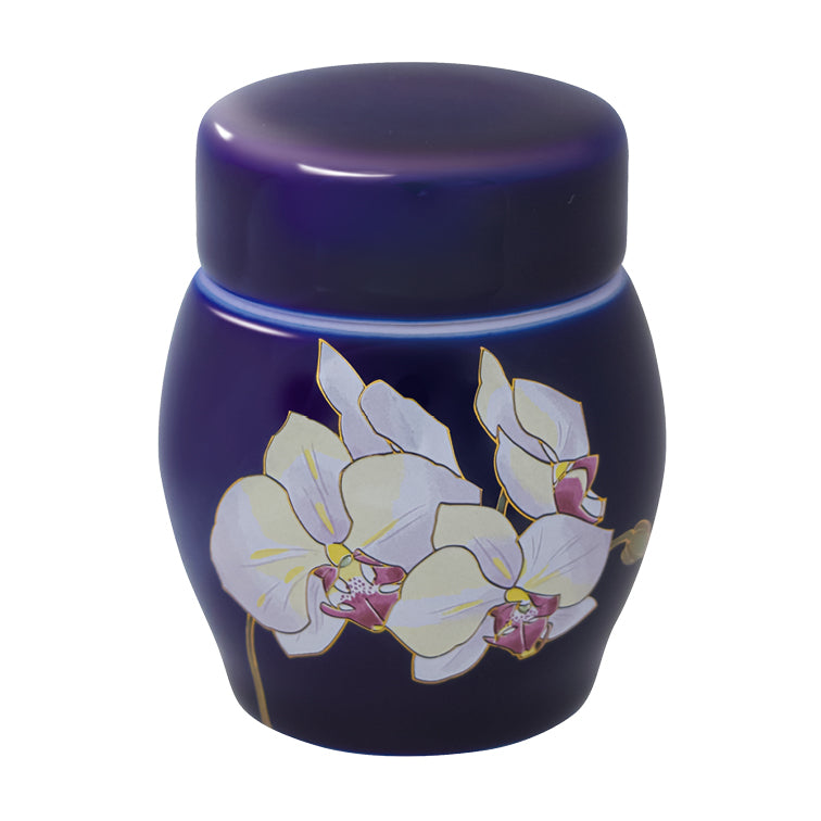 香蘭社 ルリ胡蝶蘭【手元供養】