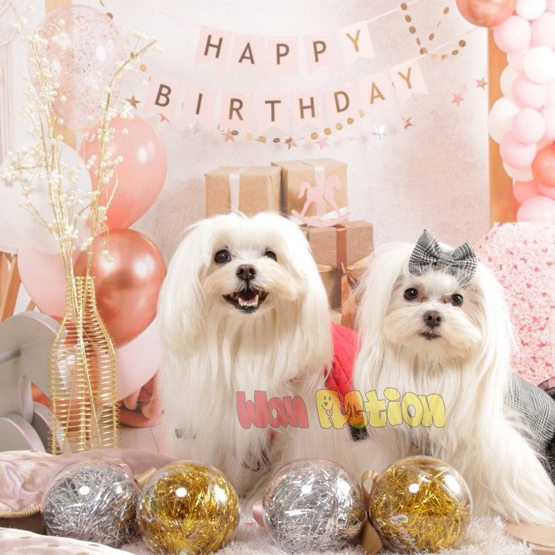 うちの子 撮影会 予約専用ページ