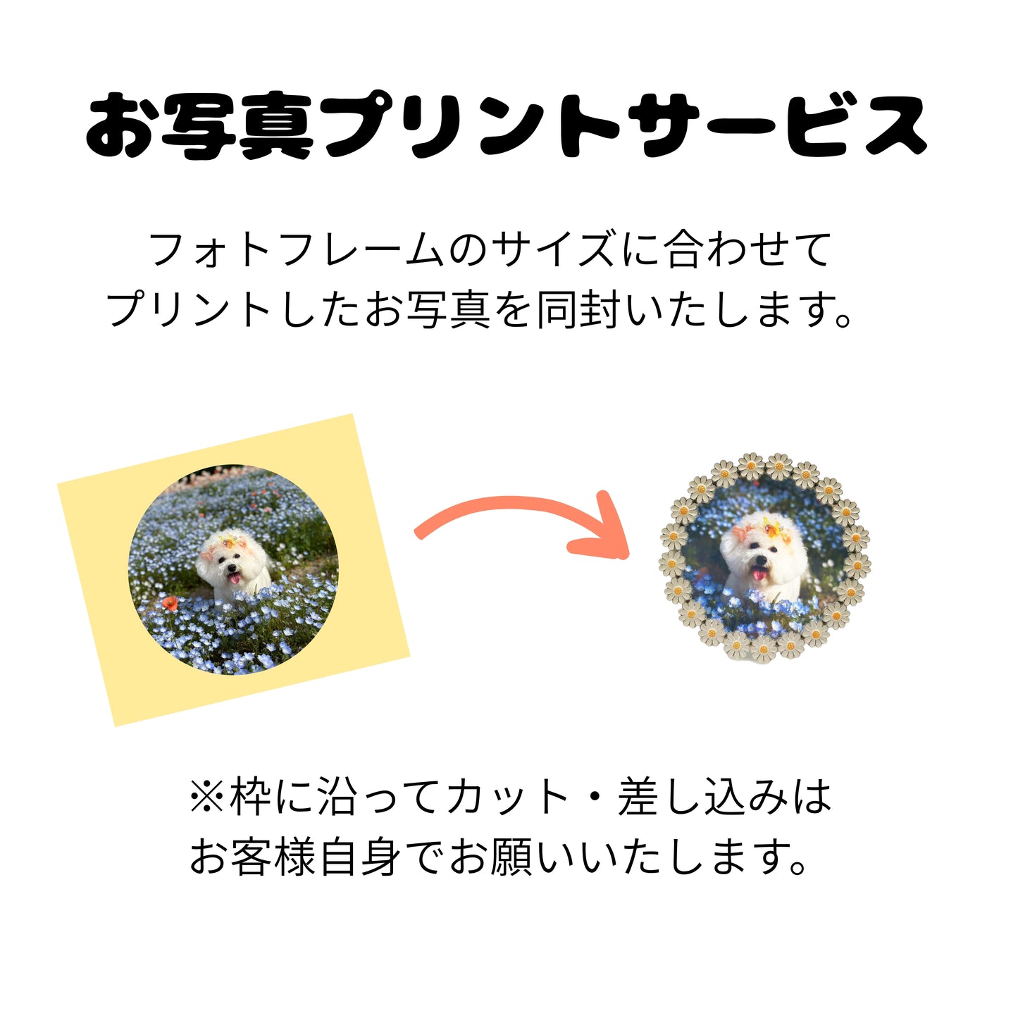 ラドンナ フォトフレームフラワー