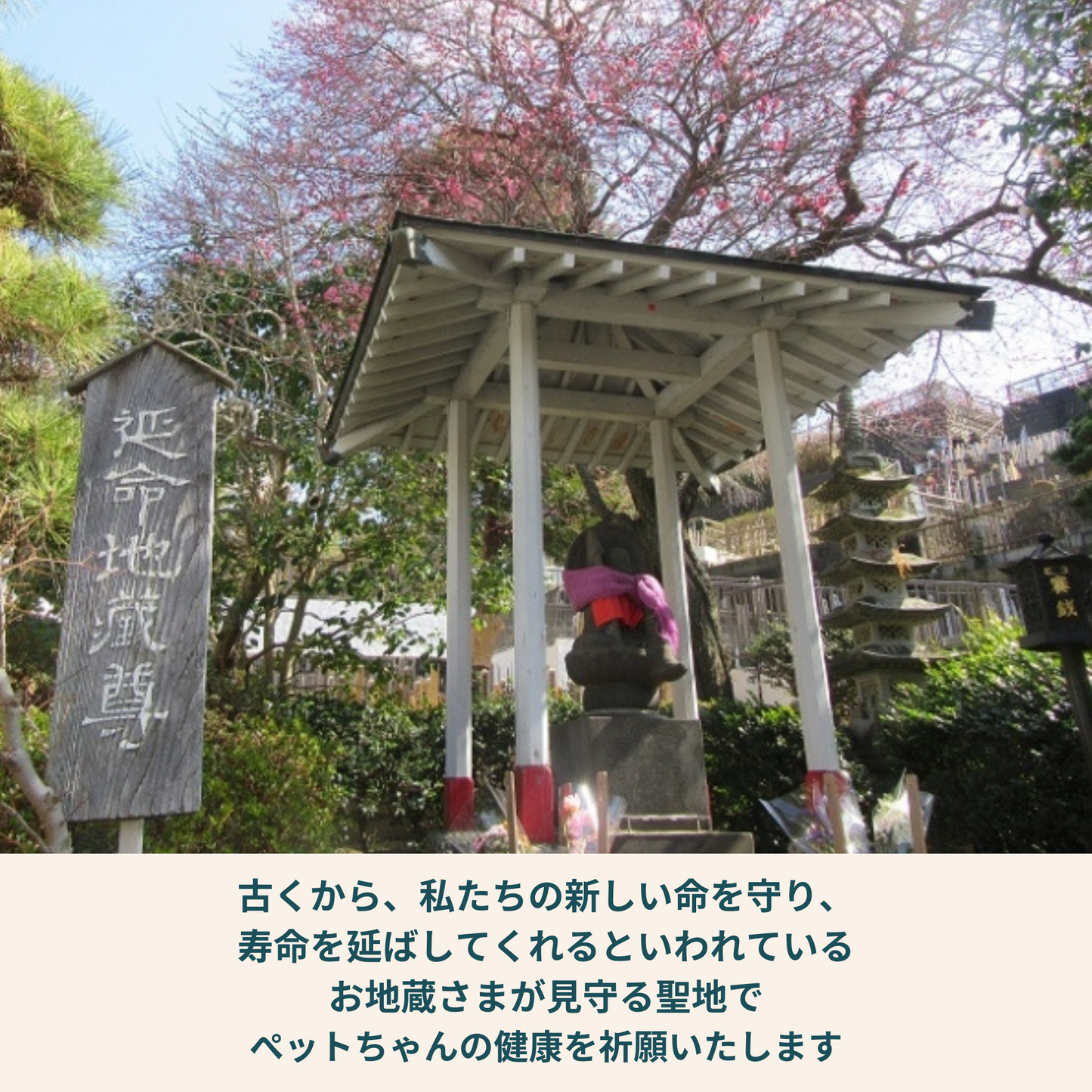 うちの子ペット健康祈願 2026