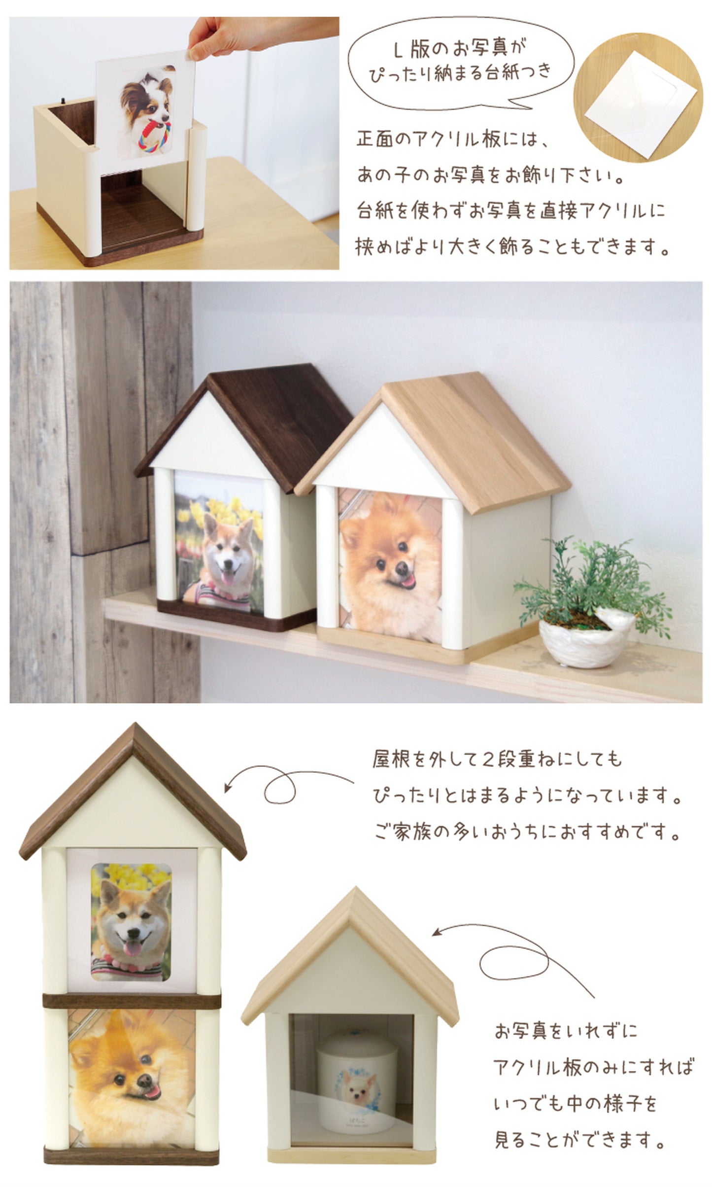 クリメイションハウス 虹の橋のおうち