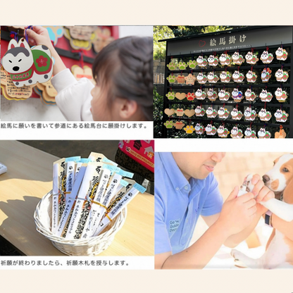 うちの子ペット健康祈願 2026