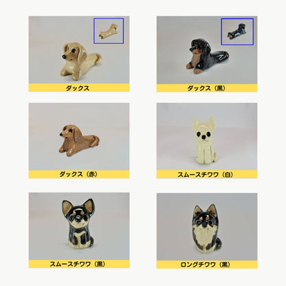 信楽焼分骨入れ（犬・猫）