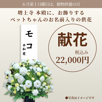 2026年6月7日（日）開催！動物慰霊祭大法要（献花１基）「うちの子メモリアルフォト祭壇」