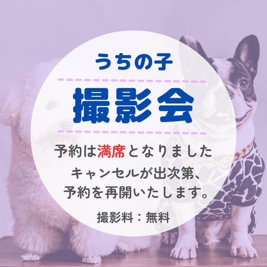 （受付終了）うちの子 撮影会 予約専用ページ
