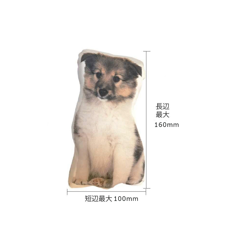 うちの子 メモリアルクッション（キーホルダー・マスコット）