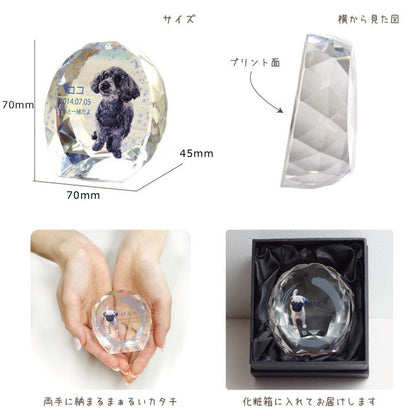 クリスタル位牌セレクト（フレーム）