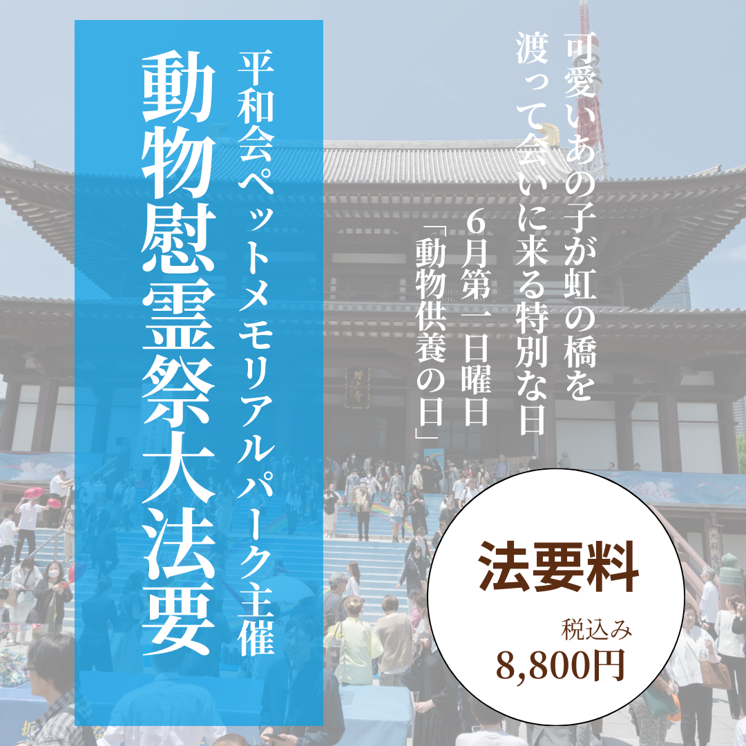 2026年 6月7日（日） 開催！動物慰霊祭大法要（法要のみ）