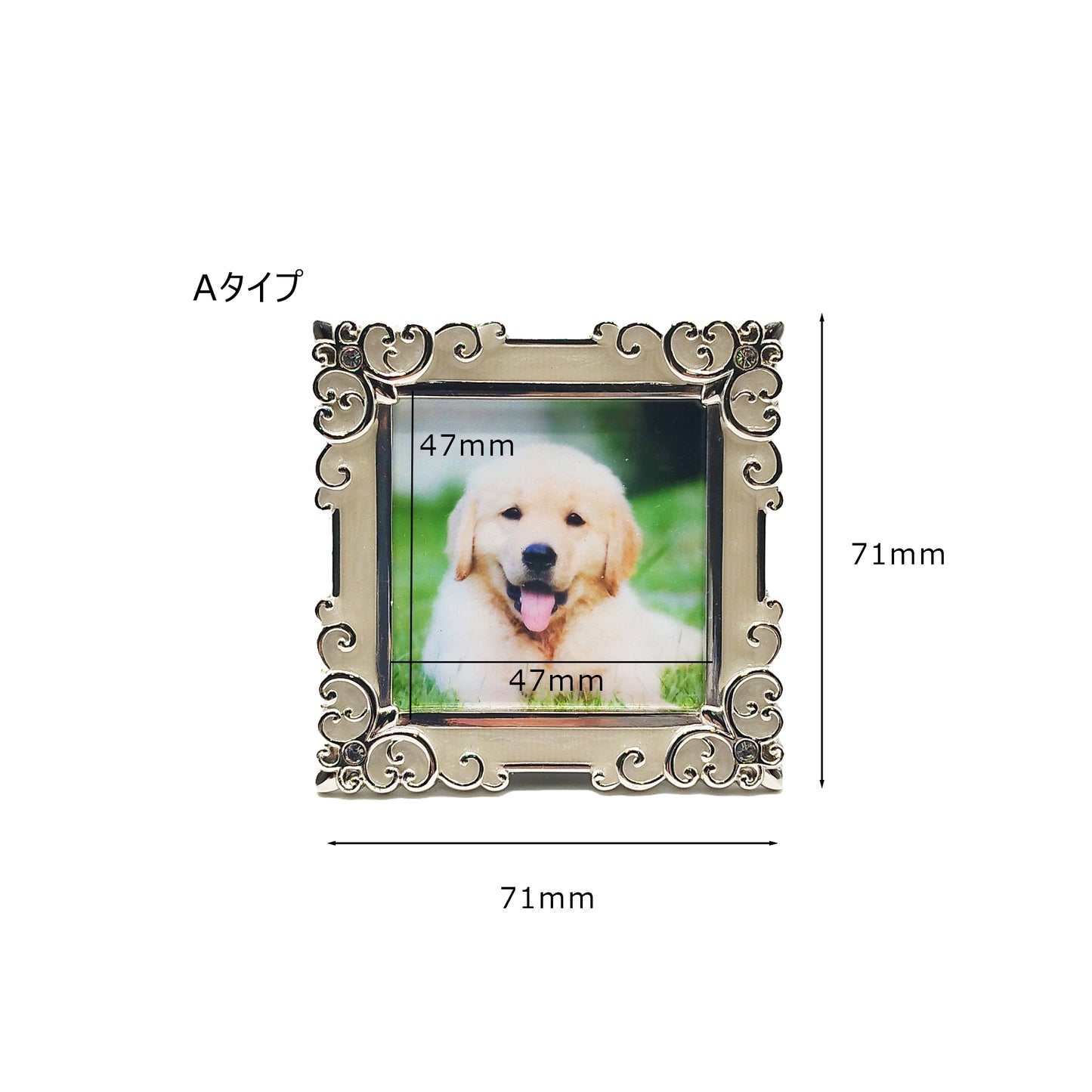 ラドンナ ミニフォトフレーム