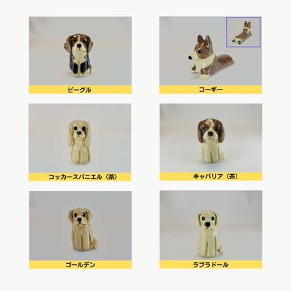 信楽焼分骨入れ（犬・猫）