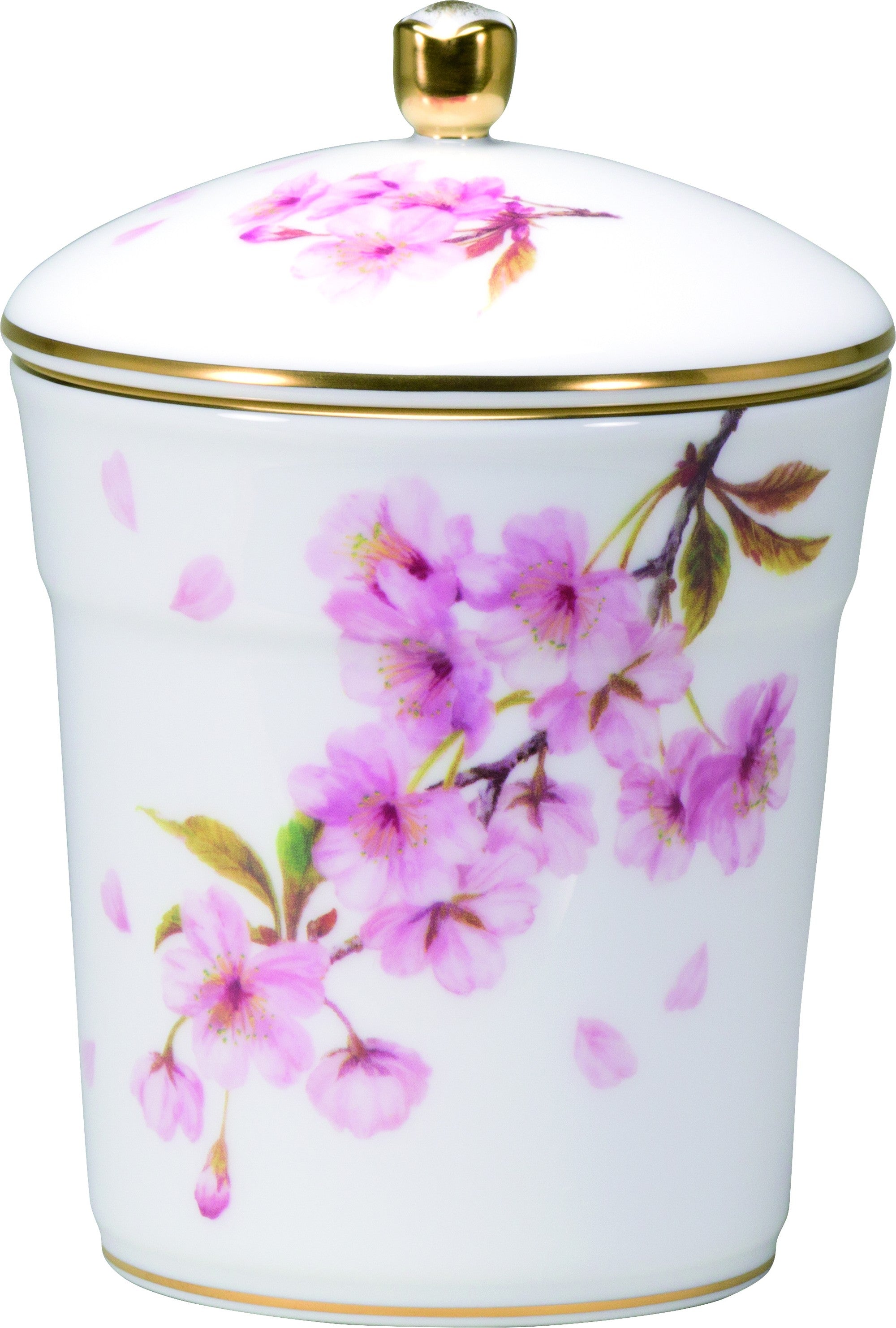桜の壺 - 花瓶
